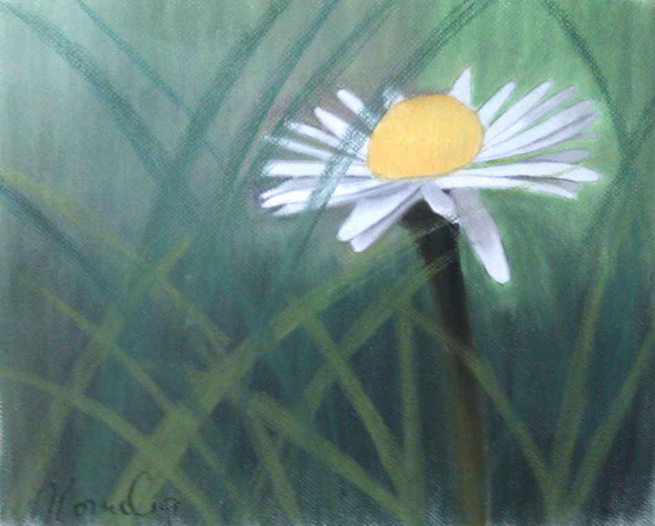 Album - Pastellbilder-Blumen