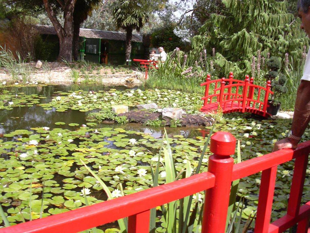 Photos de St Gille Croix de vie, la grande plage, ses ports, les jardins des olfacties à coex, la corniche vendéenne à St Hilaire du Riez et ses criques , coucher de soleil sur le remblai, les bords de la sèvres, le parc floral de la Cour D'Aron