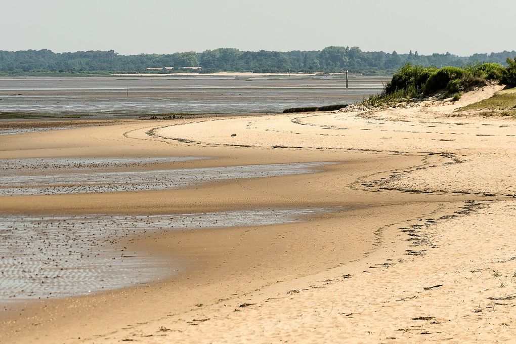 Le sentier littoral à proximité de la réserve ornithologique du Teich.