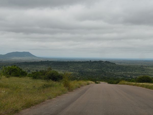 Parc Kruger: de Satara à Lower Sabie