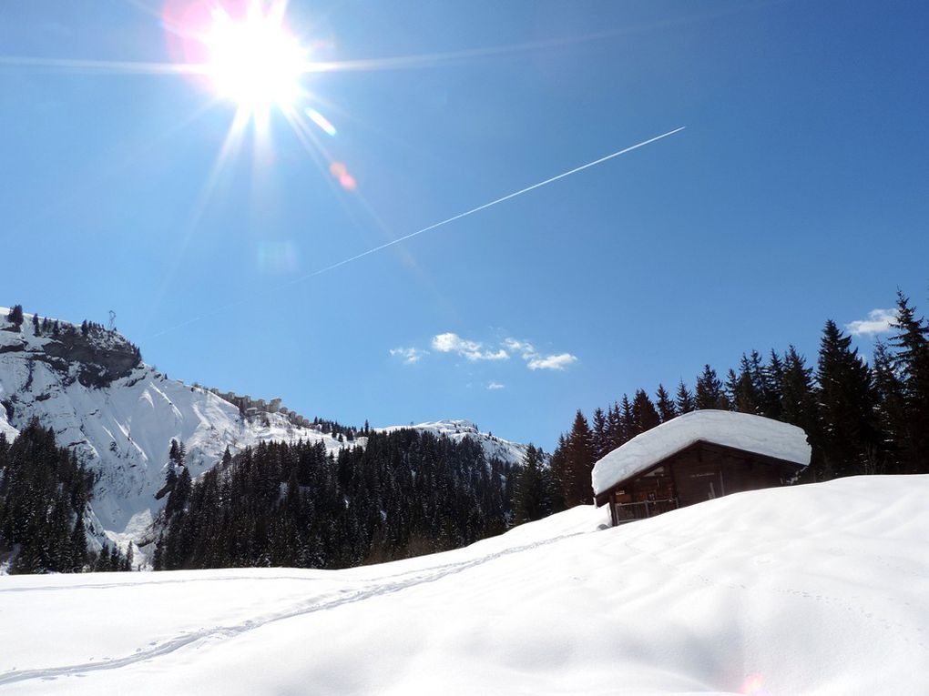 Passage au lieu-dit Ruisseau du Dorinet puis près des chalets de la Colombe pour rejoindre la piste de ski et la sentier du retour à Belleville.