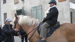 Journée du Cheval... "Le cheval, c'est trop génial !"...