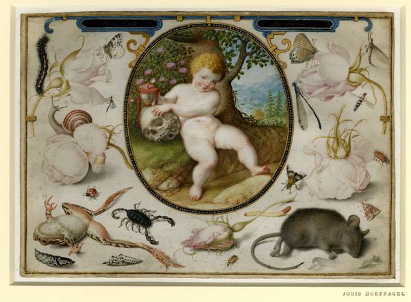 Joris Hoefnagel, Amor Lethaos, 1598.