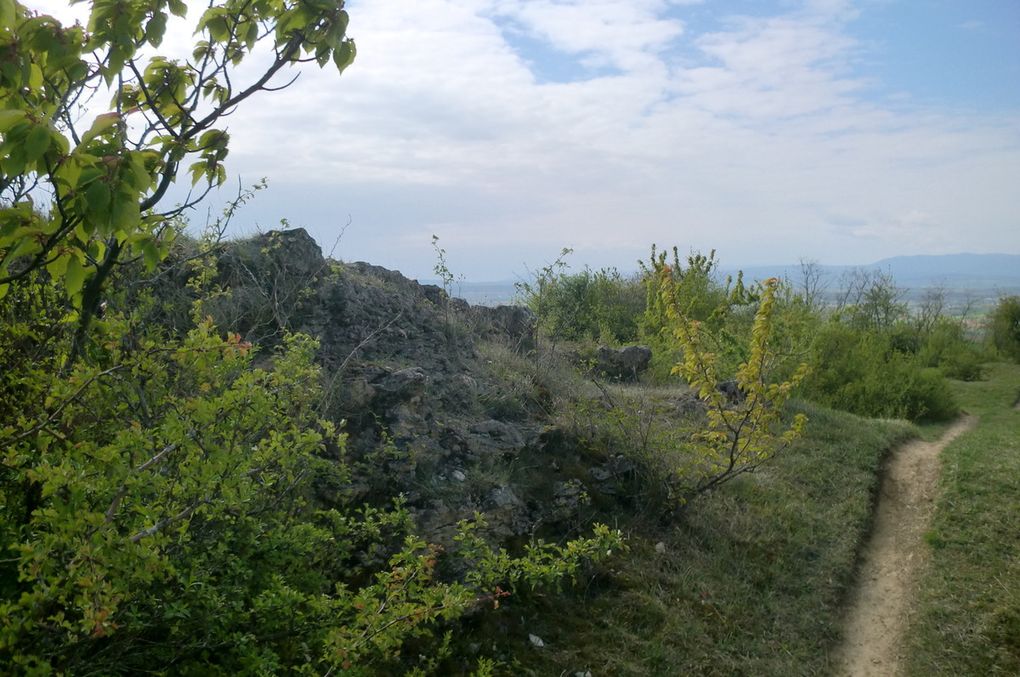 nous débouchons sur le superbe sentier sur le versant Ouest qui au milieu des pelouses sèches nous conduit sur le plateau sommital. 