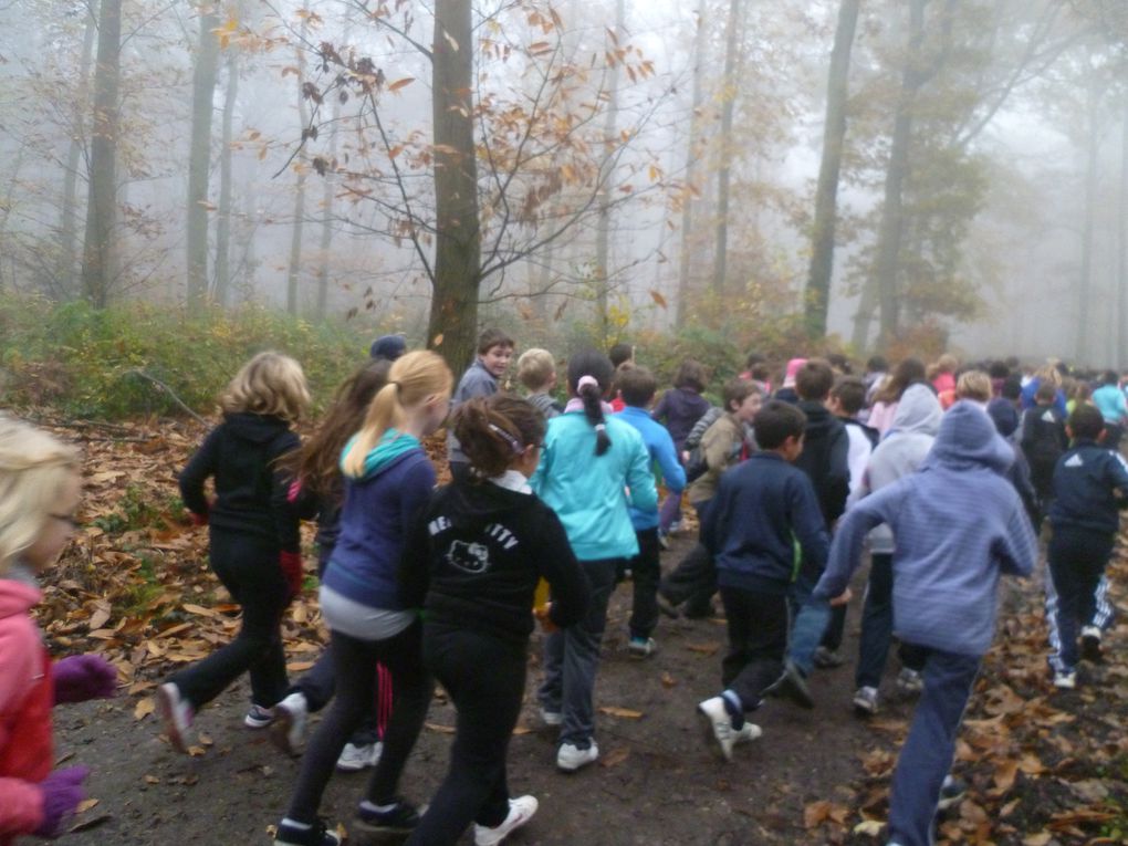 Les CE2, CM1 et CM2 de Brossolette ont participé au cross organisé par l'Office Municipal des Sports en forêt des Essarts