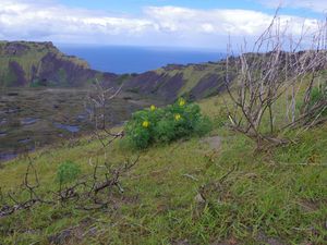 Le cratère du Rano Kau.