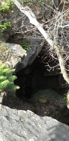 le bois de Gourdon