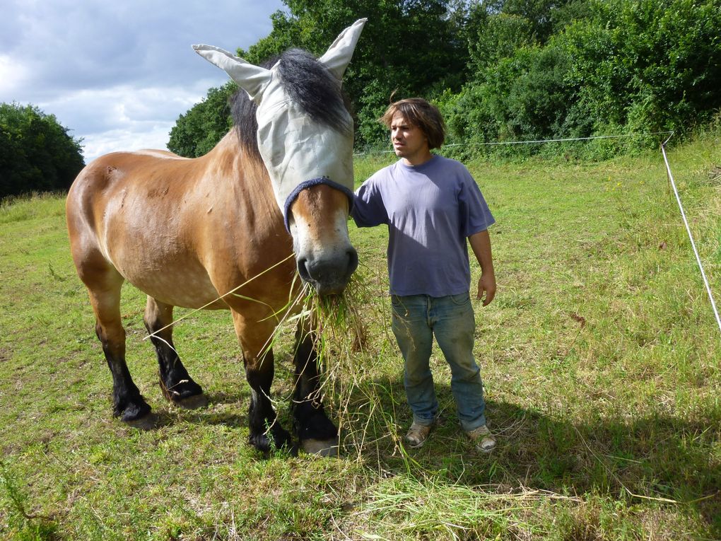 Travaux à la ferme chez Benjamin Soulard, maraîcher.
Train vers Dreux à 9h30. Benjamin nous attend à l'arrivée, petite heure de vélo pour arriver sur son exploitation, visite des lieux, repas avec sa femme et sa fille de 19 mois, et au boulot !