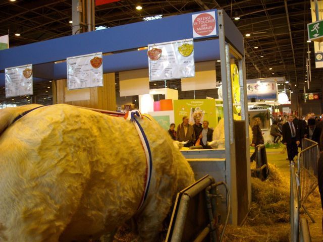 Album - Salon-International-de-l-Agriculture-2010