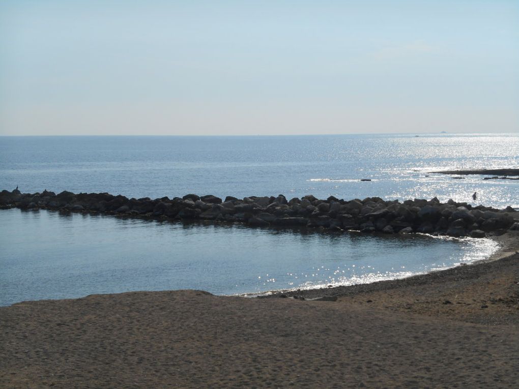 Rando du 20/02/2023 Entre Mer et Collines Carry le Rouet