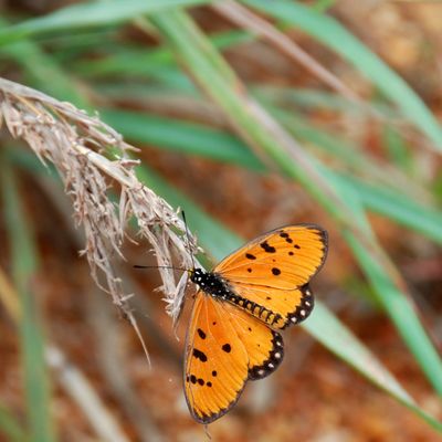 Sri Lanka / 4 / Il est 8h01 le 17 avril 2024