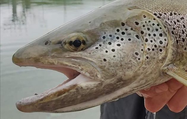 Nouveau récit des pêcheurs du Bas Verdon 