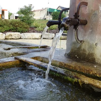 Du poison dans l’eau du robinet