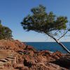 Paysage d'Esterel