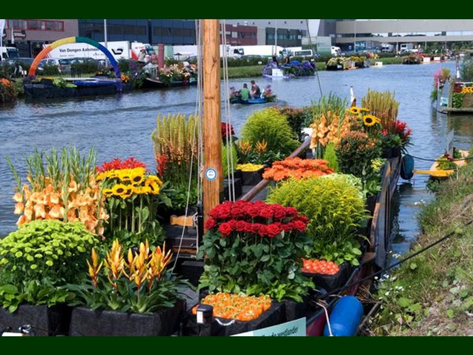 Hollande - seconde partie des marchés flottant