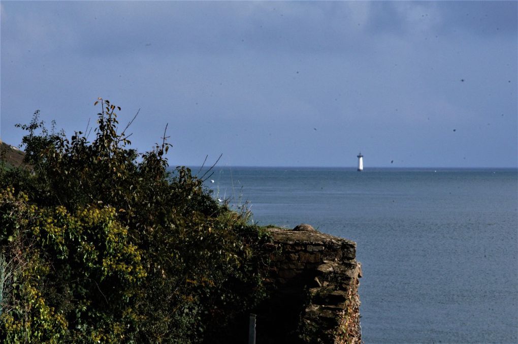 Les &quot;bancales&quot; à Cancale 