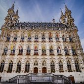 Stad Leuven haalt beeld van Leopold II uit nis van het stadhuis