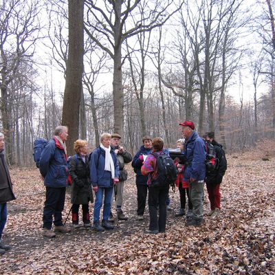 Randonnée de Saint-Nom-la-Bretêche à Villennes - 24 Km.