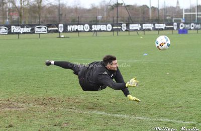 Alex définitivement de retour !