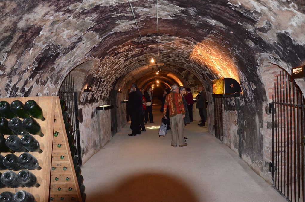 Dans les salons du Champagne COLLET-COGEVI suivi de la visite des caves et de la  Maison COGEVI