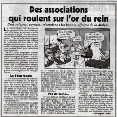 Communauté de communes du pays de Valois : Un article intéressant du Canard enchainé concernant l’activité lucrative de la dialyse