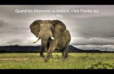 Les plus Belles Citations-Proverbes Africains