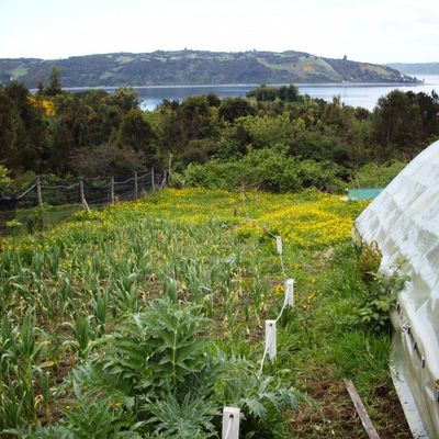 18/ Refugio Mawenko : Wwoofing chez Vénécia et Nelson