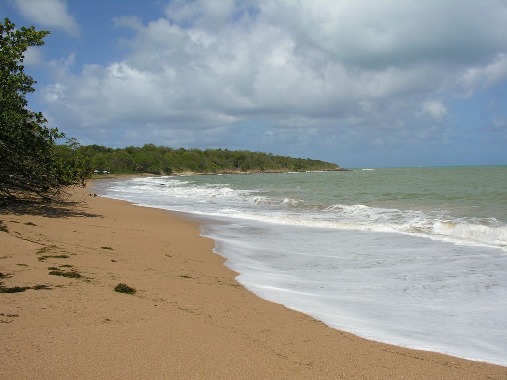 Des photos prises au hasard de promenades en Guadeloupe en février-mars 2009