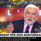 "Je vous regarde tous les soirs !" : L'appel improbable de Brigitte Bardot à Pascal Praud en plein direct sur CNews