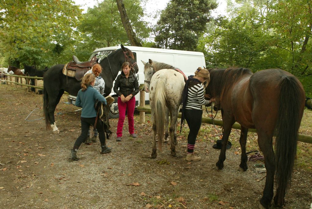 Album - 2010-PREPARATION-DU-DEFILE