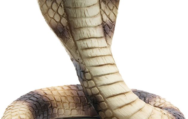 Image de serpent a colorier