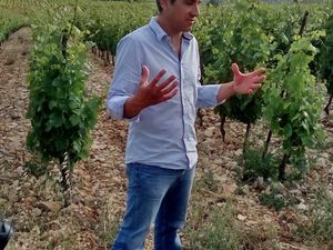 Sortie en Minervois de juin 2016