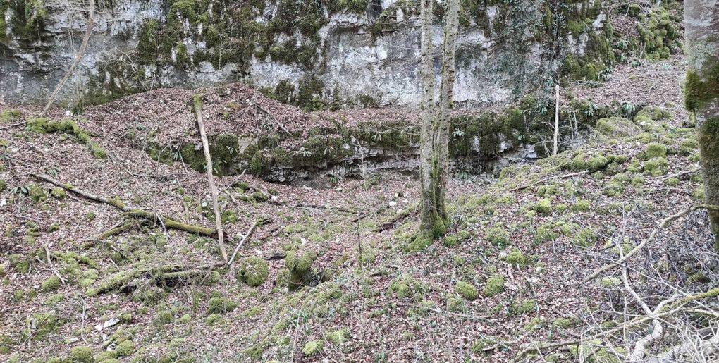 Arrivée du printemps