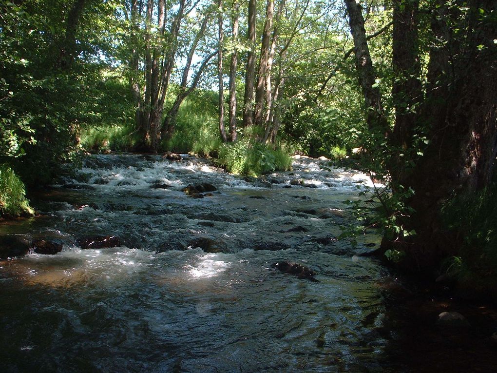 Album - cantal-2012