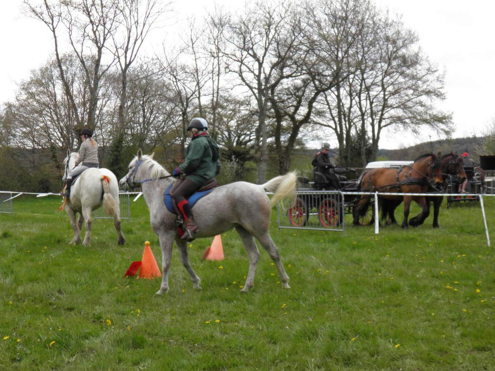 Fête de la Saint-Thuribe 2016, les chevaux, démonstration de maniabilité et de ferrage.
