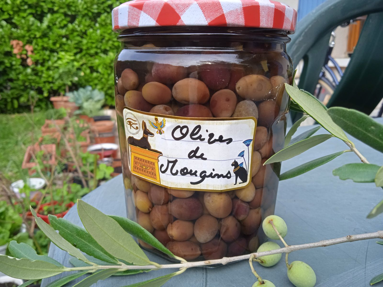 La Recette des Olives mouginoises ( Côte d'Azur)