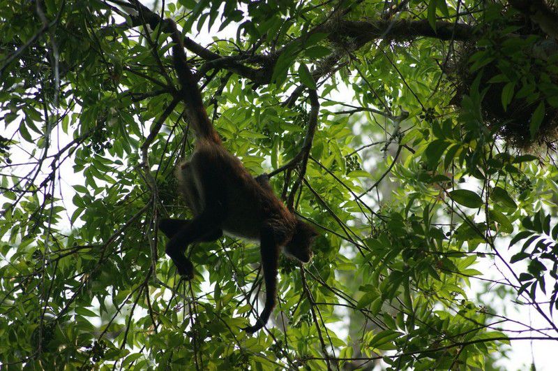 Album - Guatemala