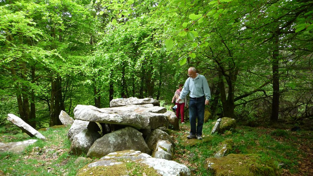 4 journées de travail de reconnexion de monuments et sites mégalithiques en Irlande.