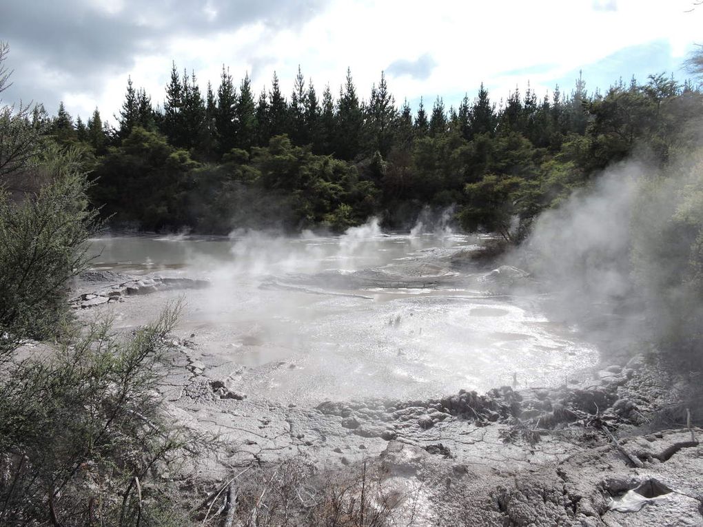 Le parc de Wai-O-Tapu