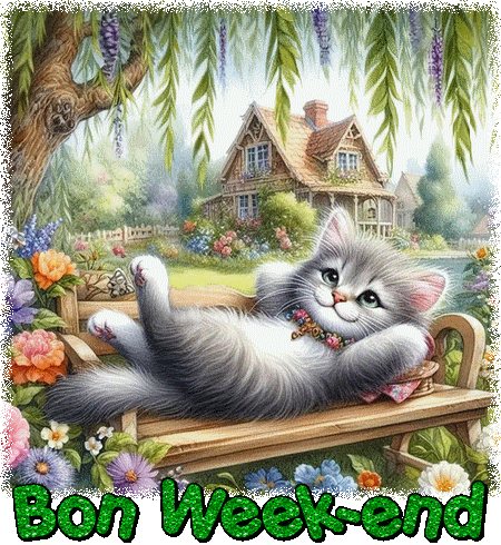 Chat zen - gif - Bon week-end - les gifs animés de dentelledelune