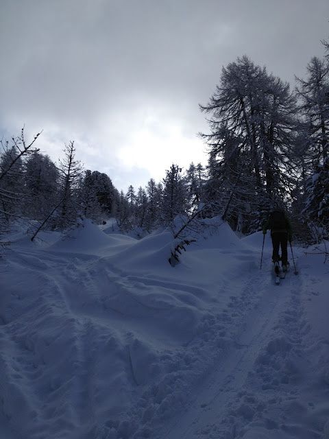 Album - Mont-Noble-29.01.2012