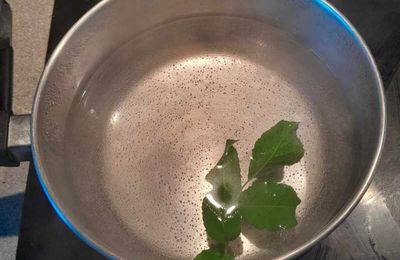 Infusion de feuilles de sureau pour collyre pour yeux : 