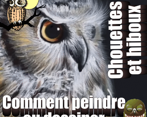Dessin et peinture - vidéo 4044 : Comment peindre ou dessiner, chouettes et hiboux ? - huile ou acrylique.