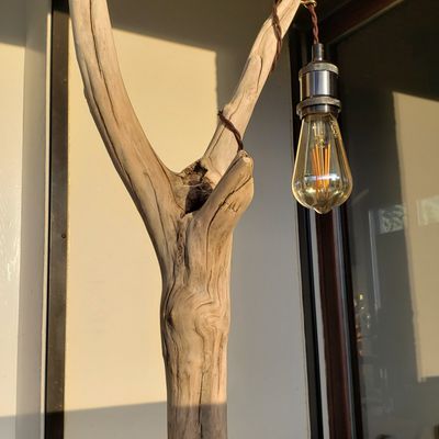 Lampe bois flotté 2 branches