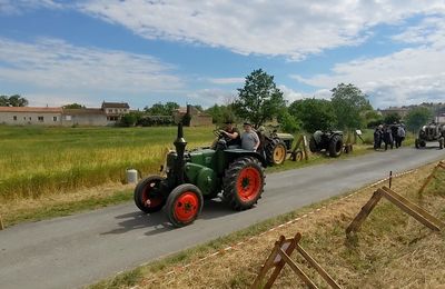 FOIRE 2024 : LE PERCHERON T25