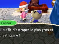Résumé de la quinzaine (7) :