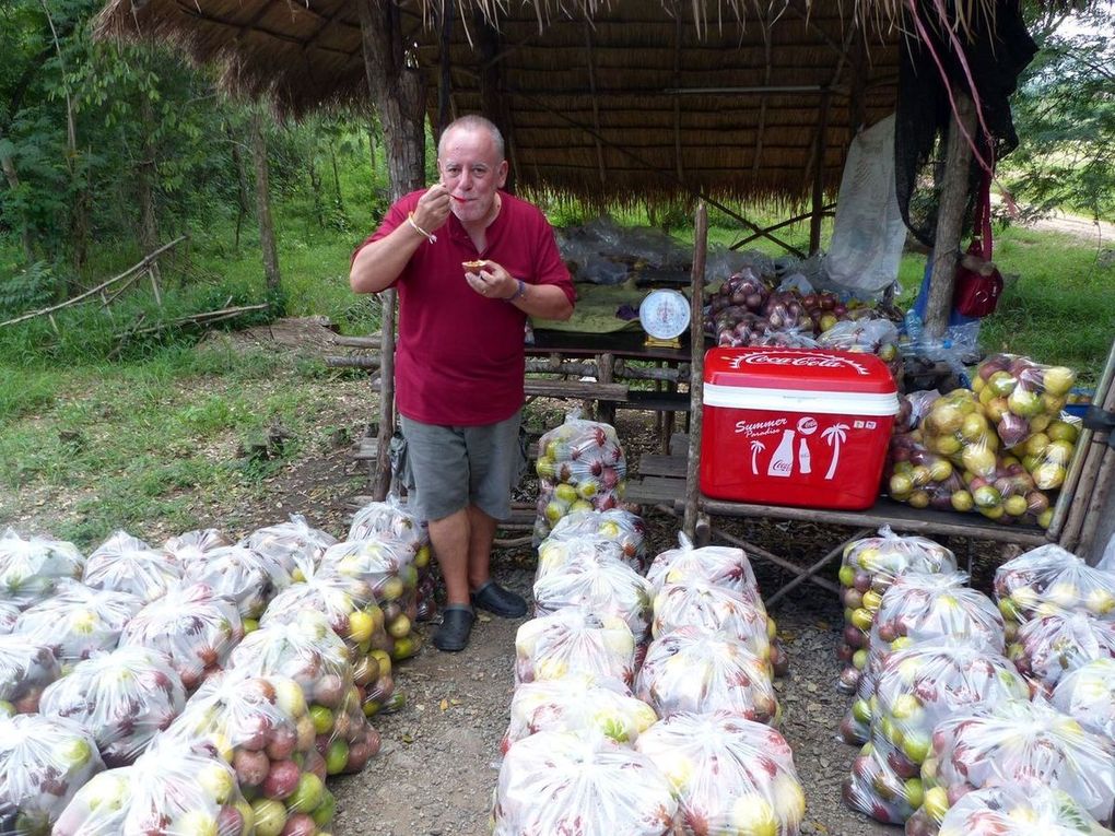Le sawalot (2) - Fruit de saison (18-20)