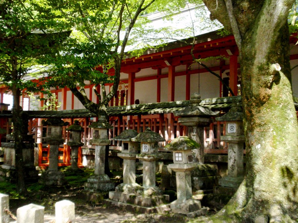10 jours entre Tokyo, Kyoto et Nara ^^