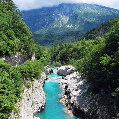 Tour d'Europe de la Truite : la Slovénie