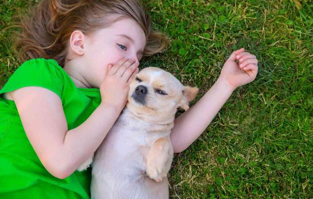 Les chiens peuvent catégoriser les mots, même s’ils sont prononcés par une personne inconnue